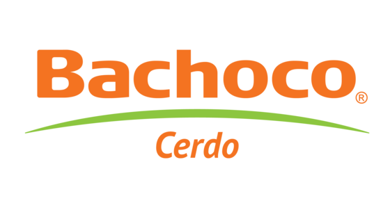 View Bachoco Pork details