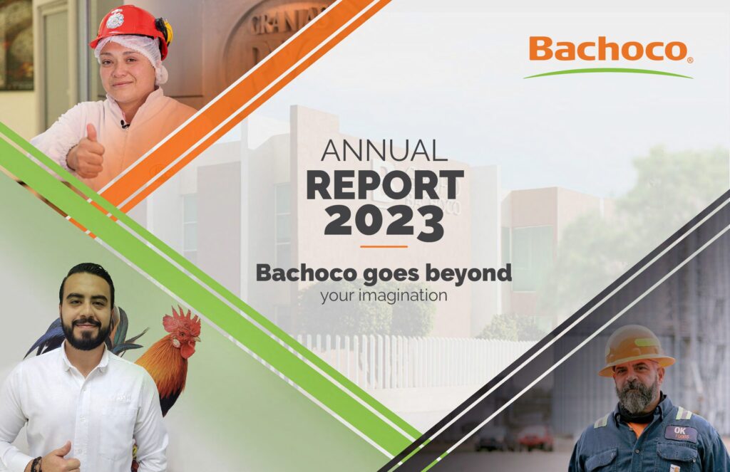 Annual Report 2023